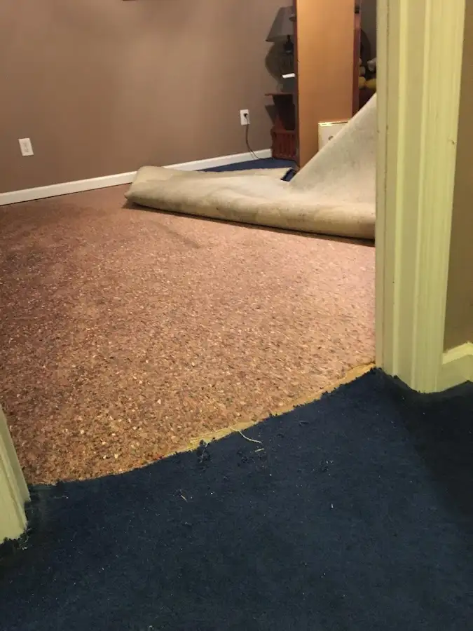 Carpet pad removal revealing water damage during Drying & Dehumidification in Thermalito